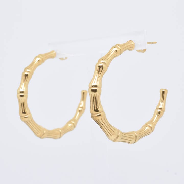 EARRINGS - BO100007 for wholesale by Kapyco