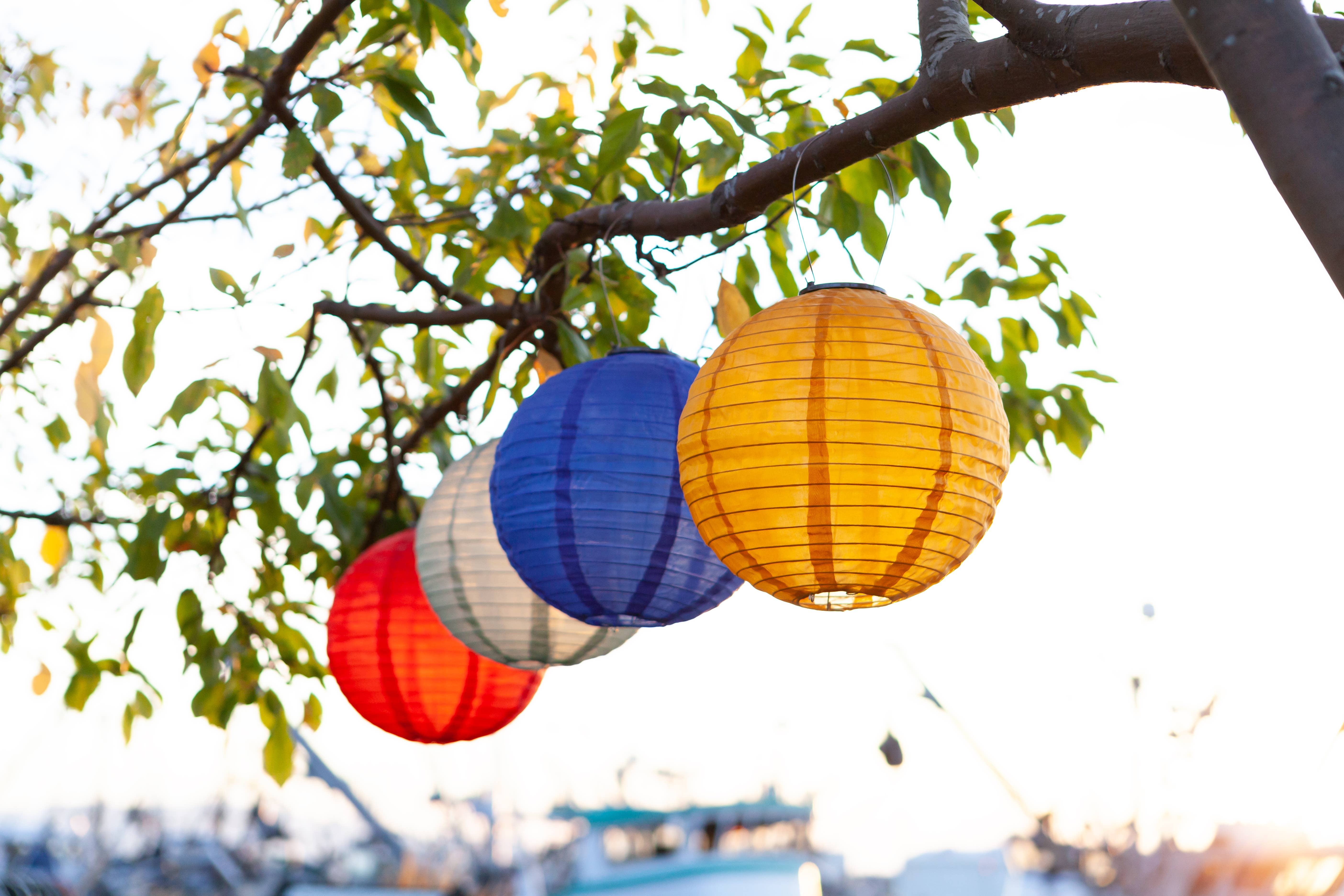 Allsop Home & Garden - Vendita all'ingrosso Luce per esterni/da giardino - Lanterna solare Soji Festival Globe 12" - Blu ceruleo16