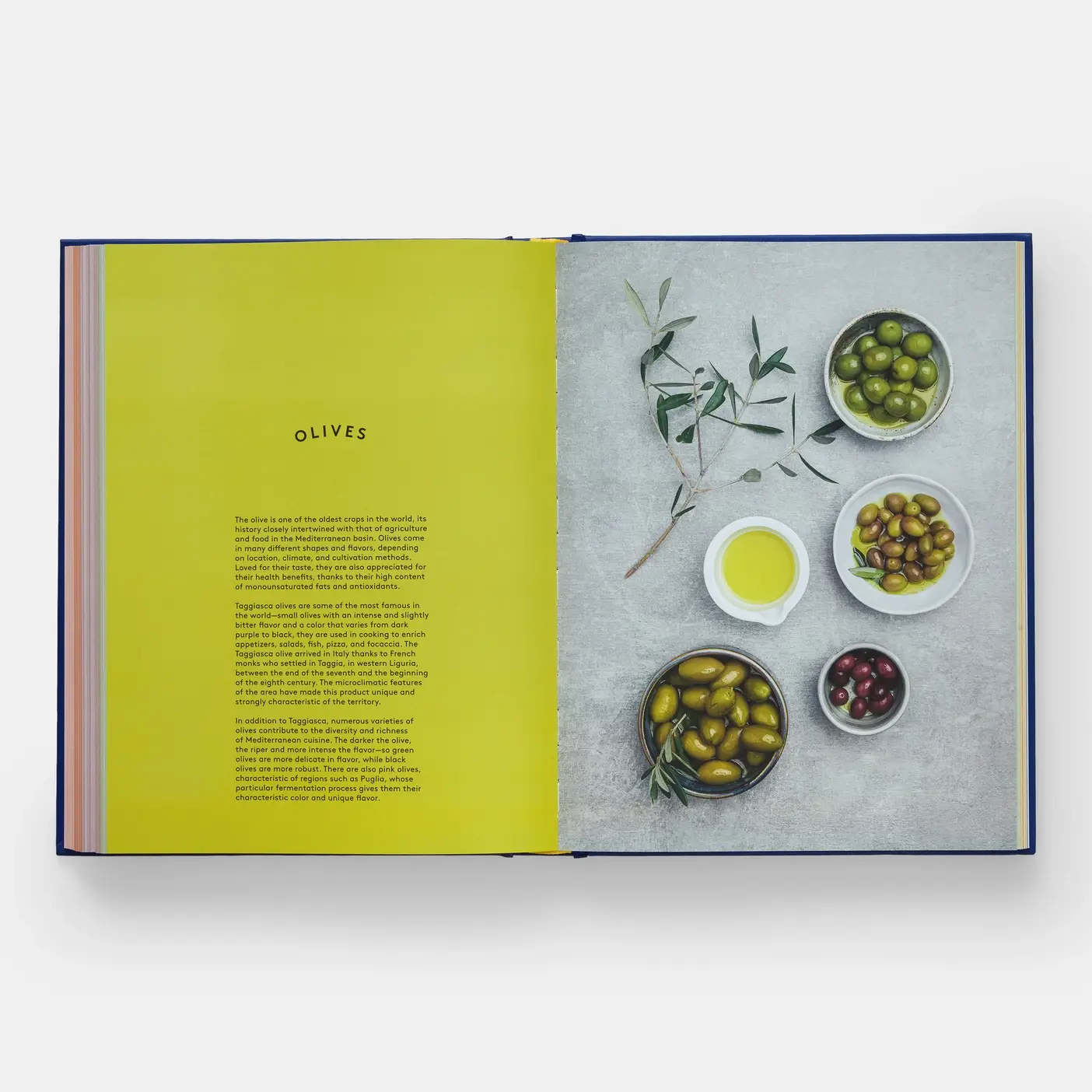 Phaidon - Wholesale Cookbooks & Food - Book Of Pasta6