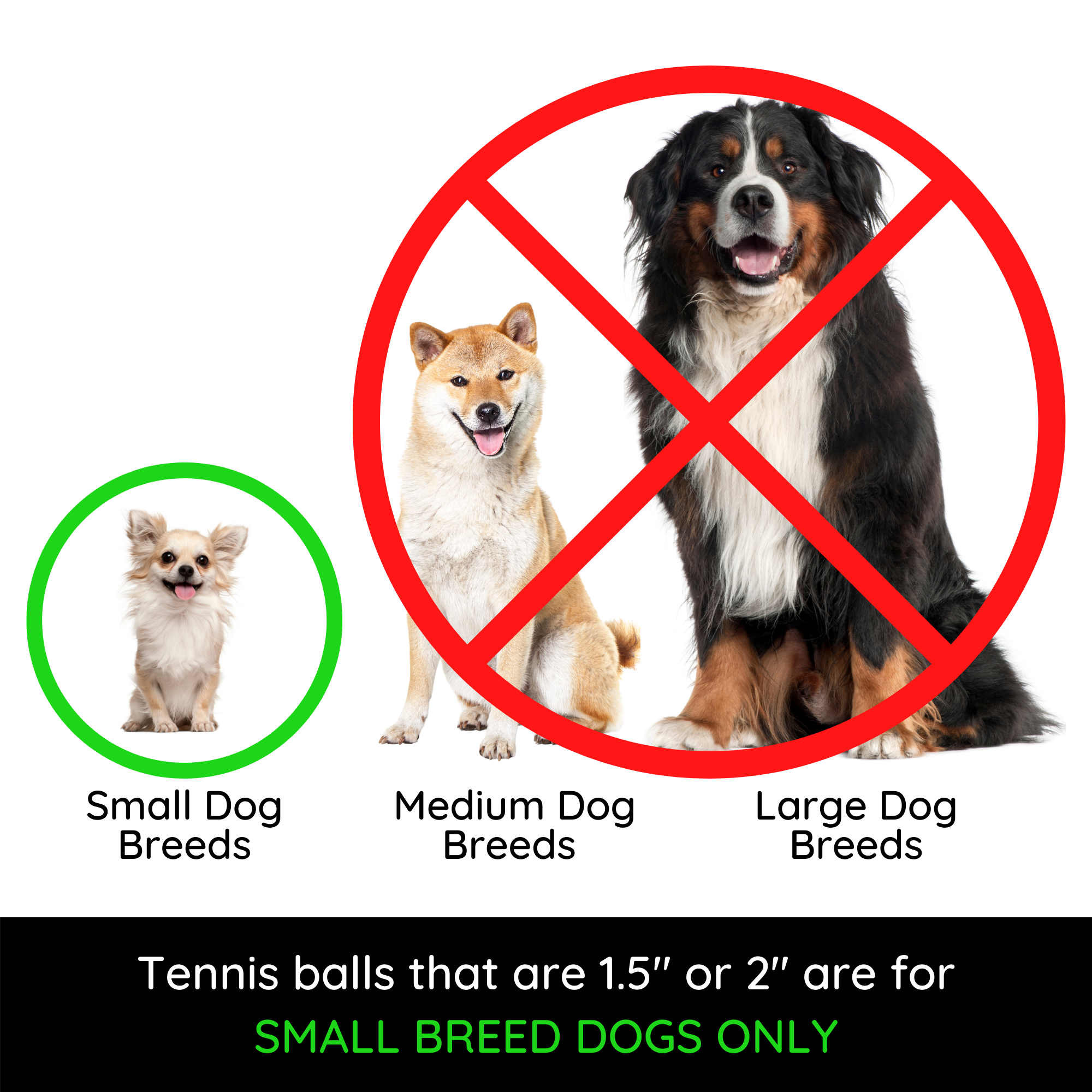 Midlee Designs - Wholesale Pet Fetch Ball - Dog - Midlee X-Small Dog Tennis Balls 1.5" - 12 Pack (Assorted)12