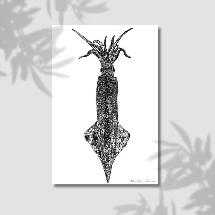 The Squid for wholesale by Lison Trépos-Tanneau