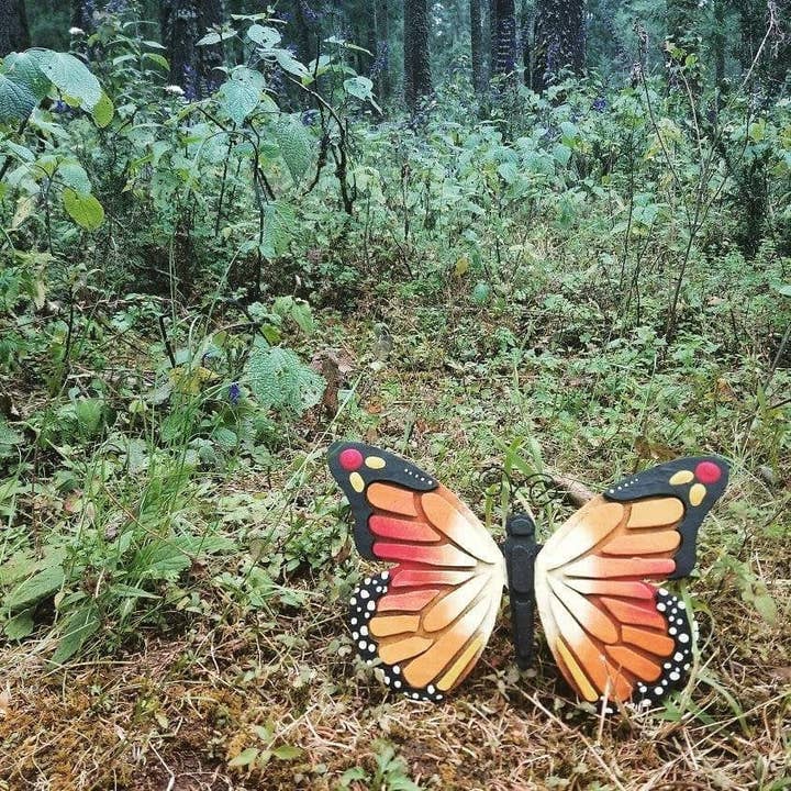 Monarch vlinder voor wholesale door Ciclomanias