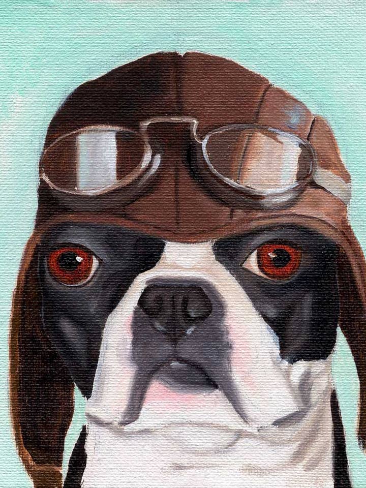 Impression artistique sur le terrier de Boston, chapeau de pilote et chien pour la vente par Brian Rubenacker studios