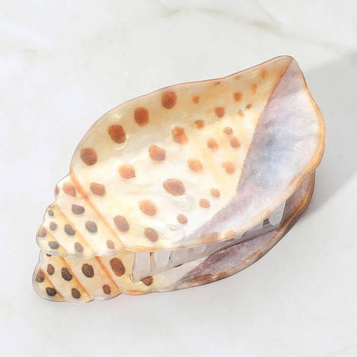 Spotted Miter Shell Hair Claw Clip for wholesale by Sensibling Corp.