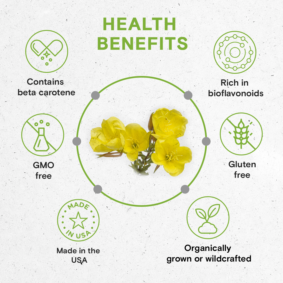 Secrets Of The Tribe - Wholesale Tincture - Mullein Flower Tincture4