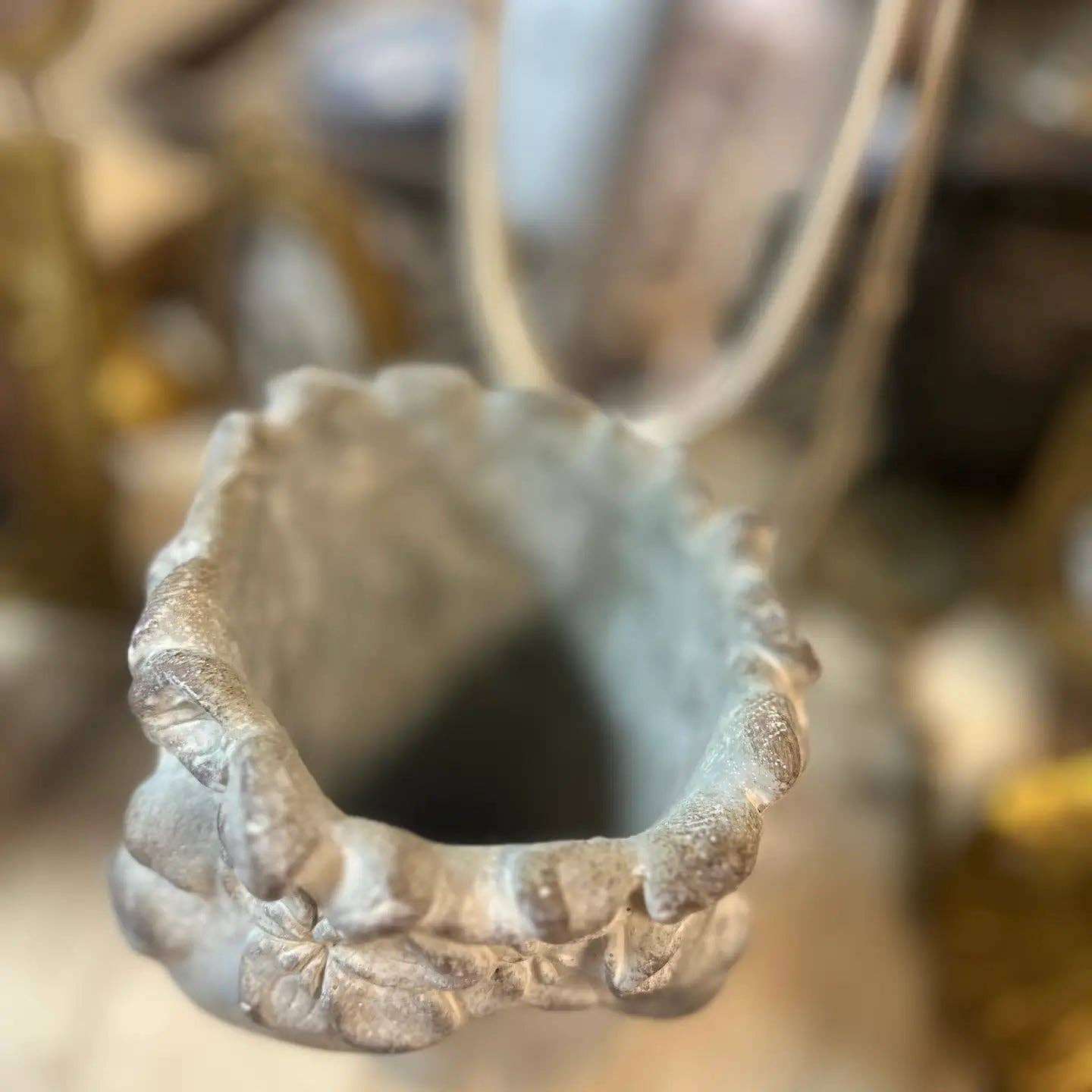 Mothology Home - Vendita all'ingrosso Vasi per piante - CE-TESTAPIANTE-S3