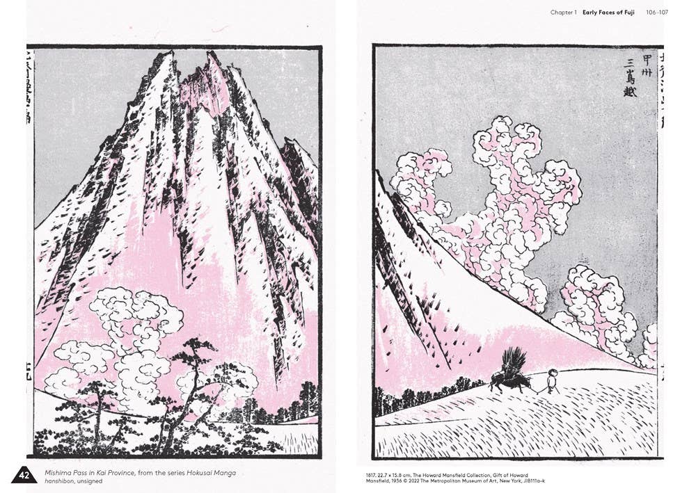 W. W. Norton - Wholesale Arts & Entertainment - Hokusai's Fuji2