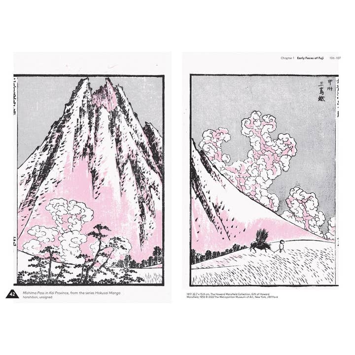 W. W. Norton - Wholesale Arts & Entertainment - Hokusai's Fuji2