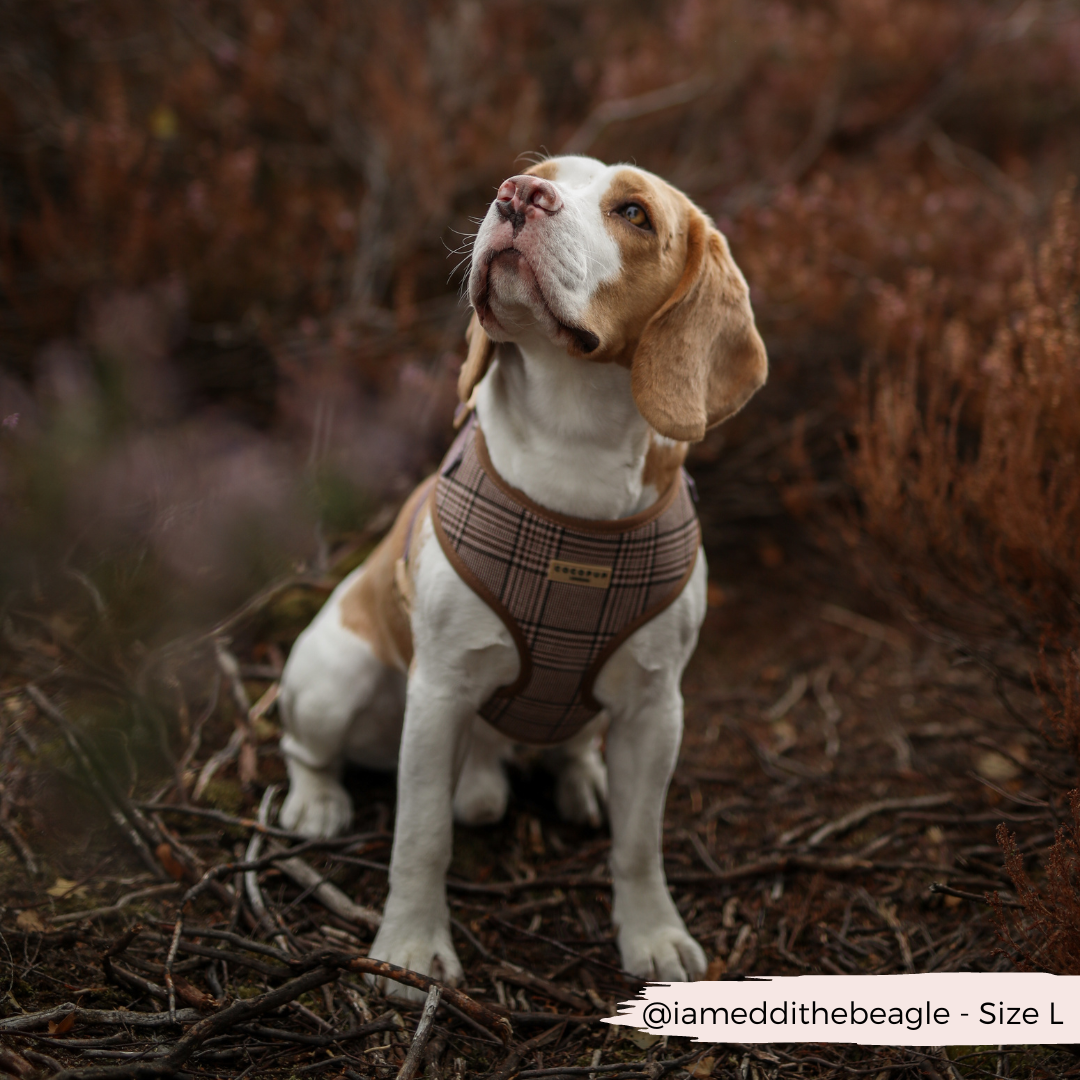 Cocopup London - Wholesale Pet Harness - Dog - Pup Plaid Adjustable Neck Harness16