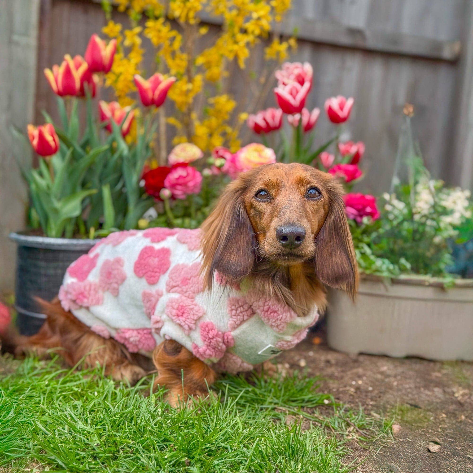 The Paw Print Boutique - Wholesale Pet Coat - Dog - The Peony Pink Floral Fleece15