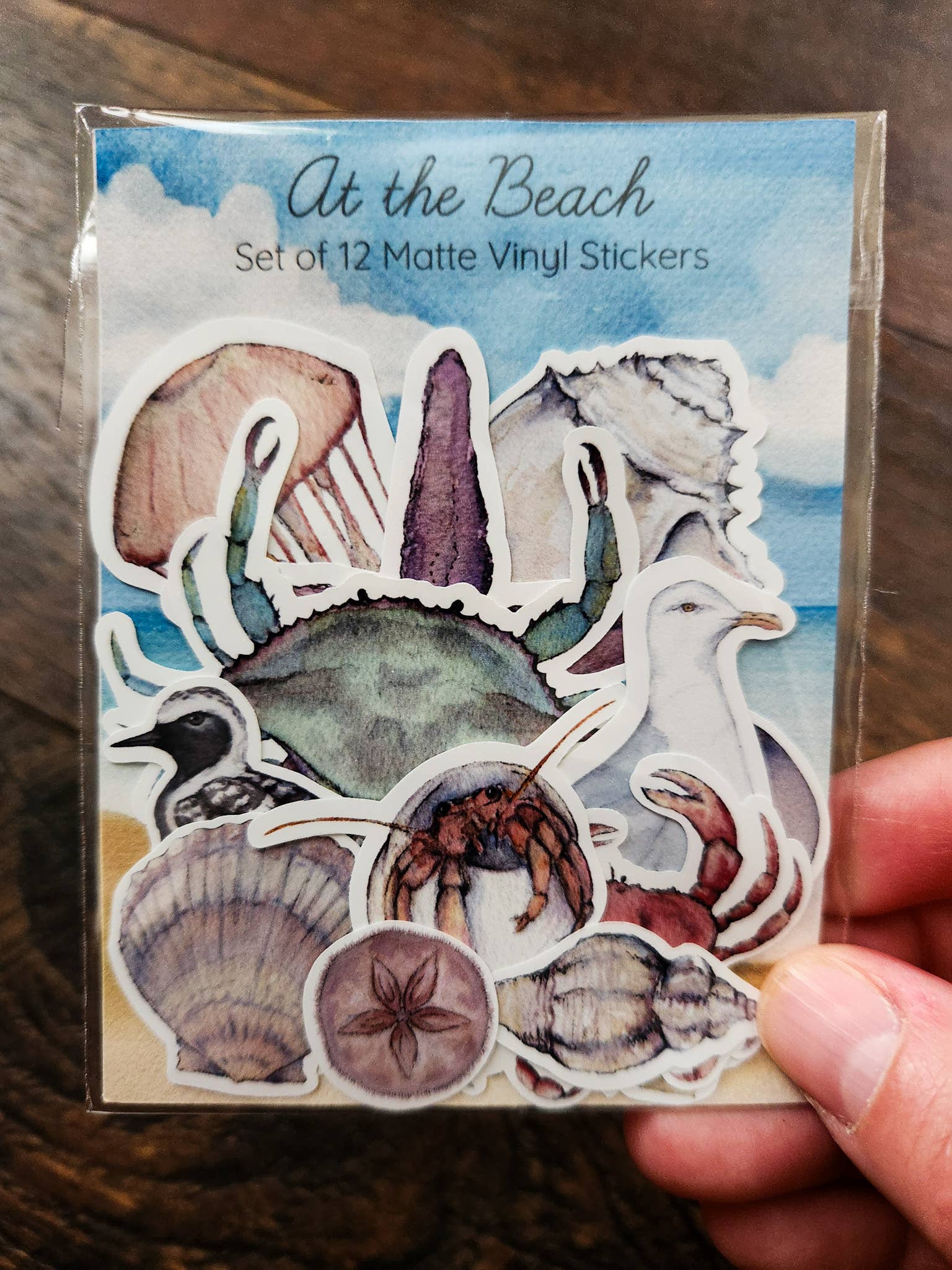 Stephanie Hathaway Designs - Vendita all'ingrosso Adesivo - Pacchetto di Adesivi da Spiaggia, Set di 12 Adesivi in Vinile Opaco2