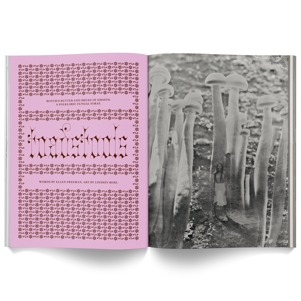 Broccoli - Wholesale Magazine - Mushroom People Magazine2