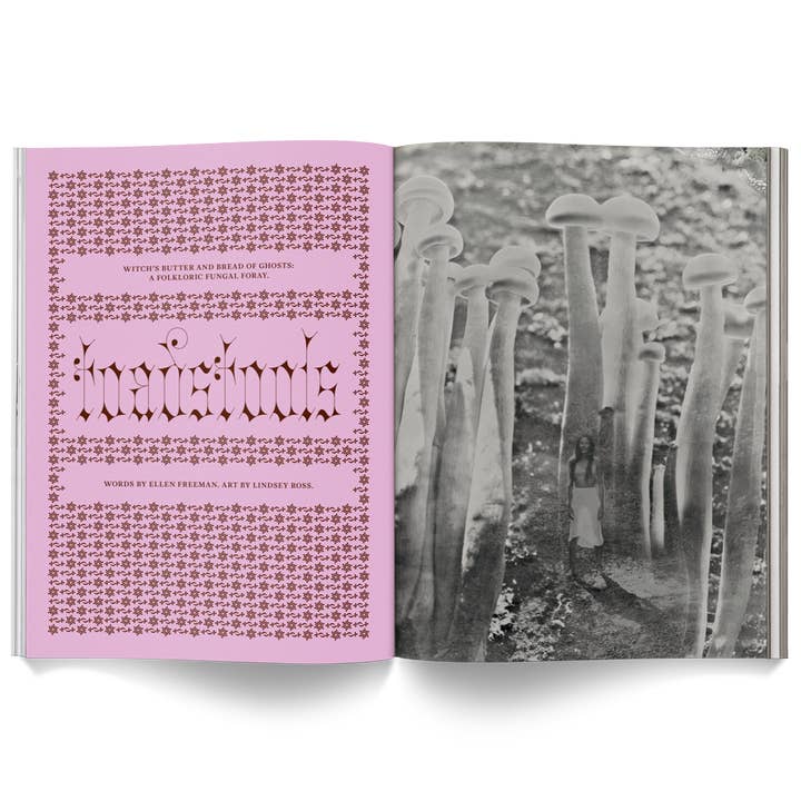 Broccoli - Wholesale Magazine - Mushroom People Magazine2