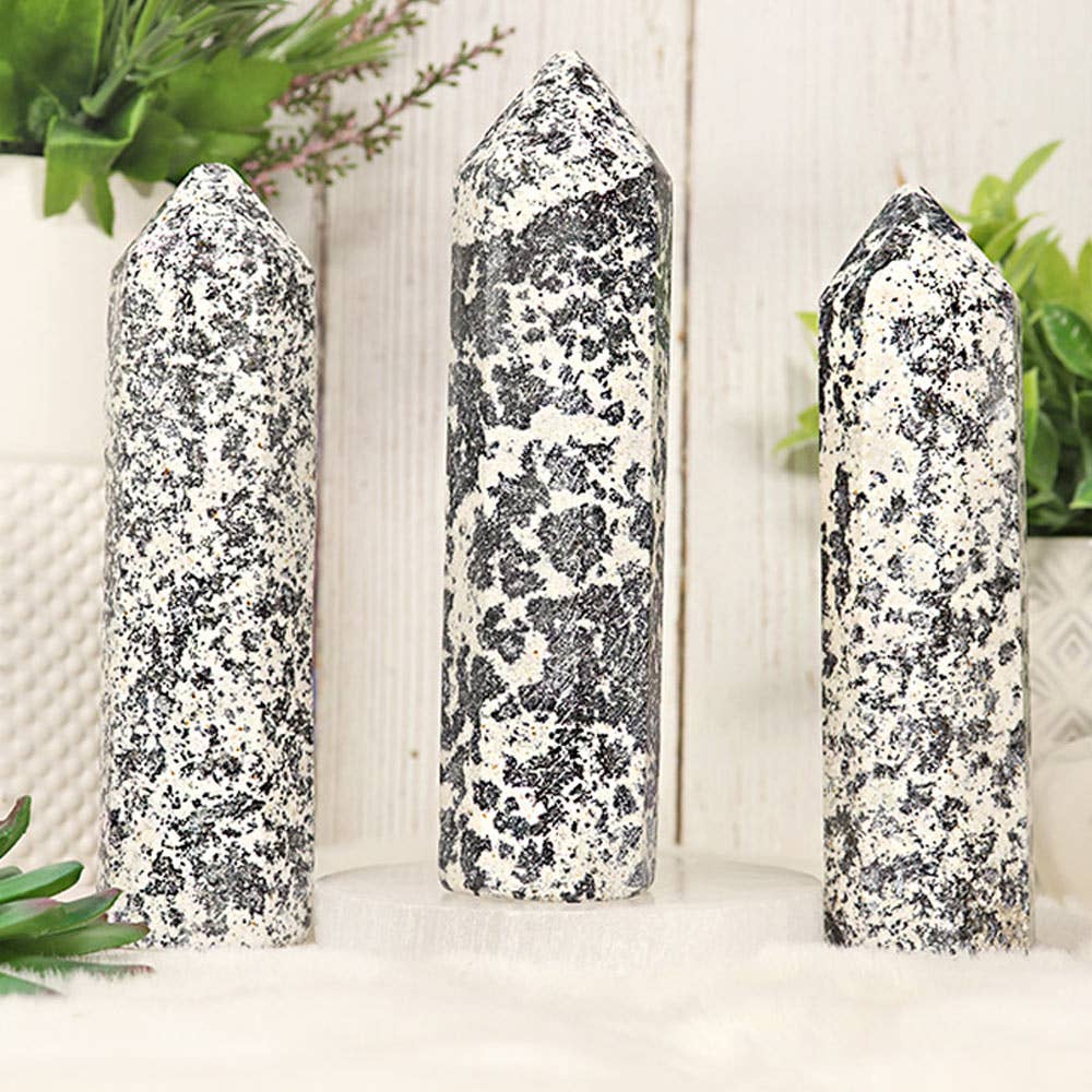 Natures Artifacts Inc - Wholesale Spiritual Stone/Crystal - Dalmatian Round Tip Tower – Dalmatian from Pakistan0