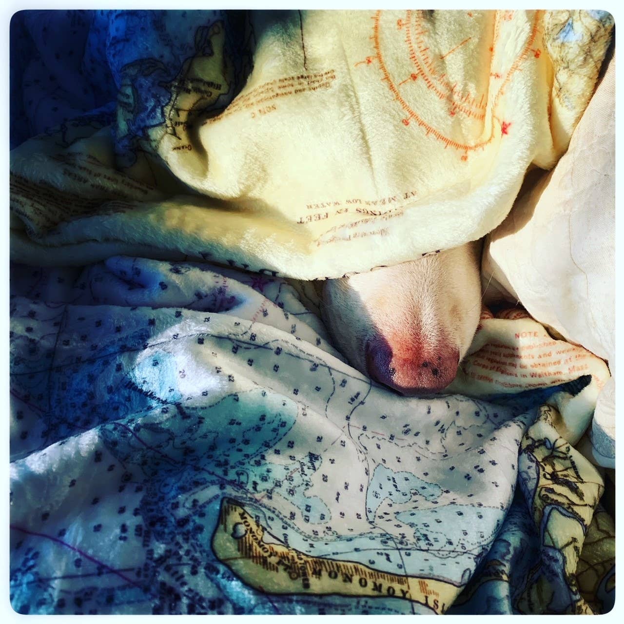 Maritime Tribes LLC - Wholesale Throw Blanket - Throw Blanket -> super soft 10