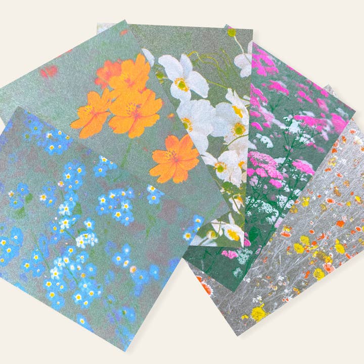 HERR & FRAU RIO - Wholesale Postcard - Forget-me-not postcard1