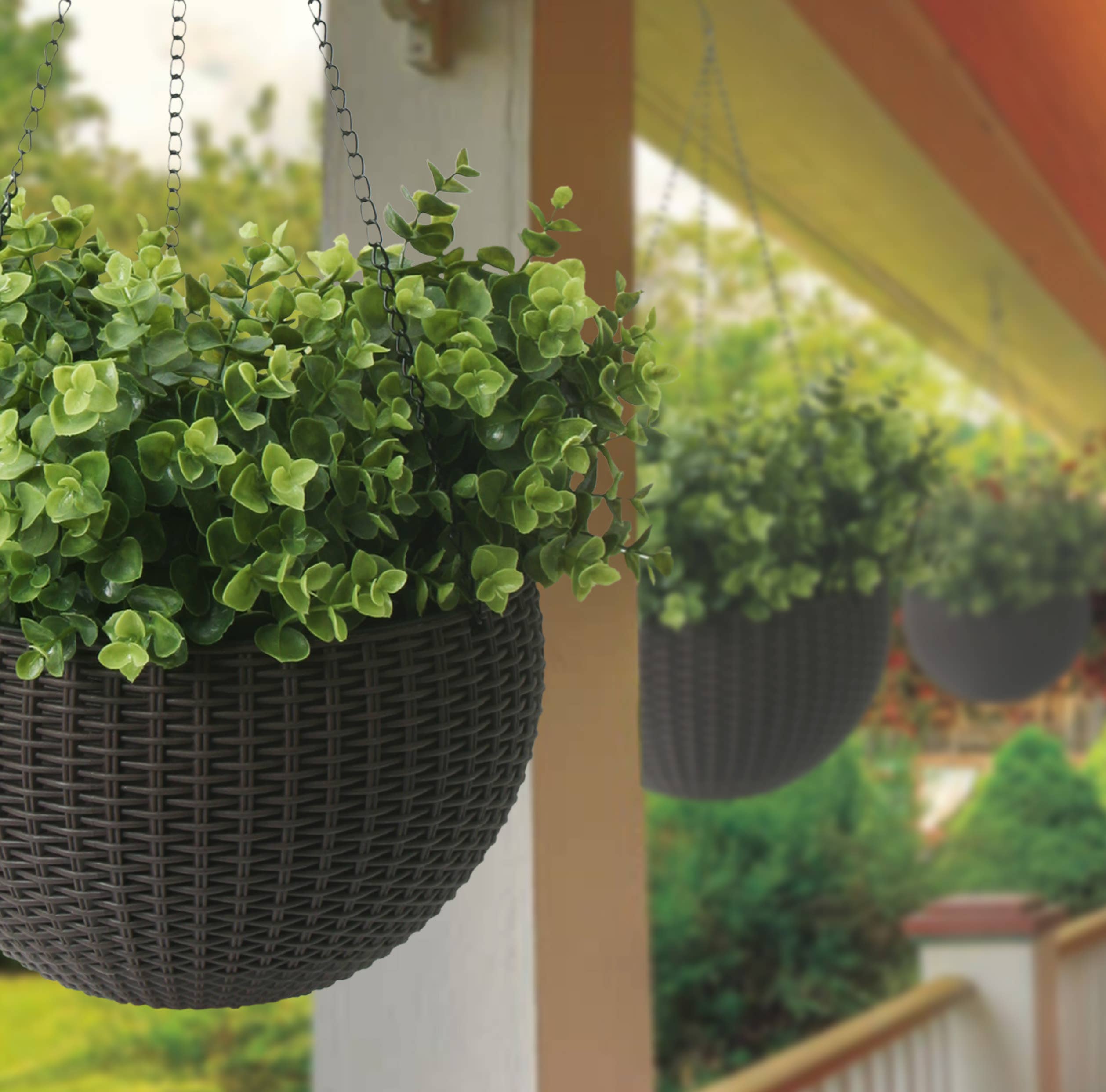 Algreen - Wholesale Hanging Planter - Modena Self-Watering Hanging Basket Planter17