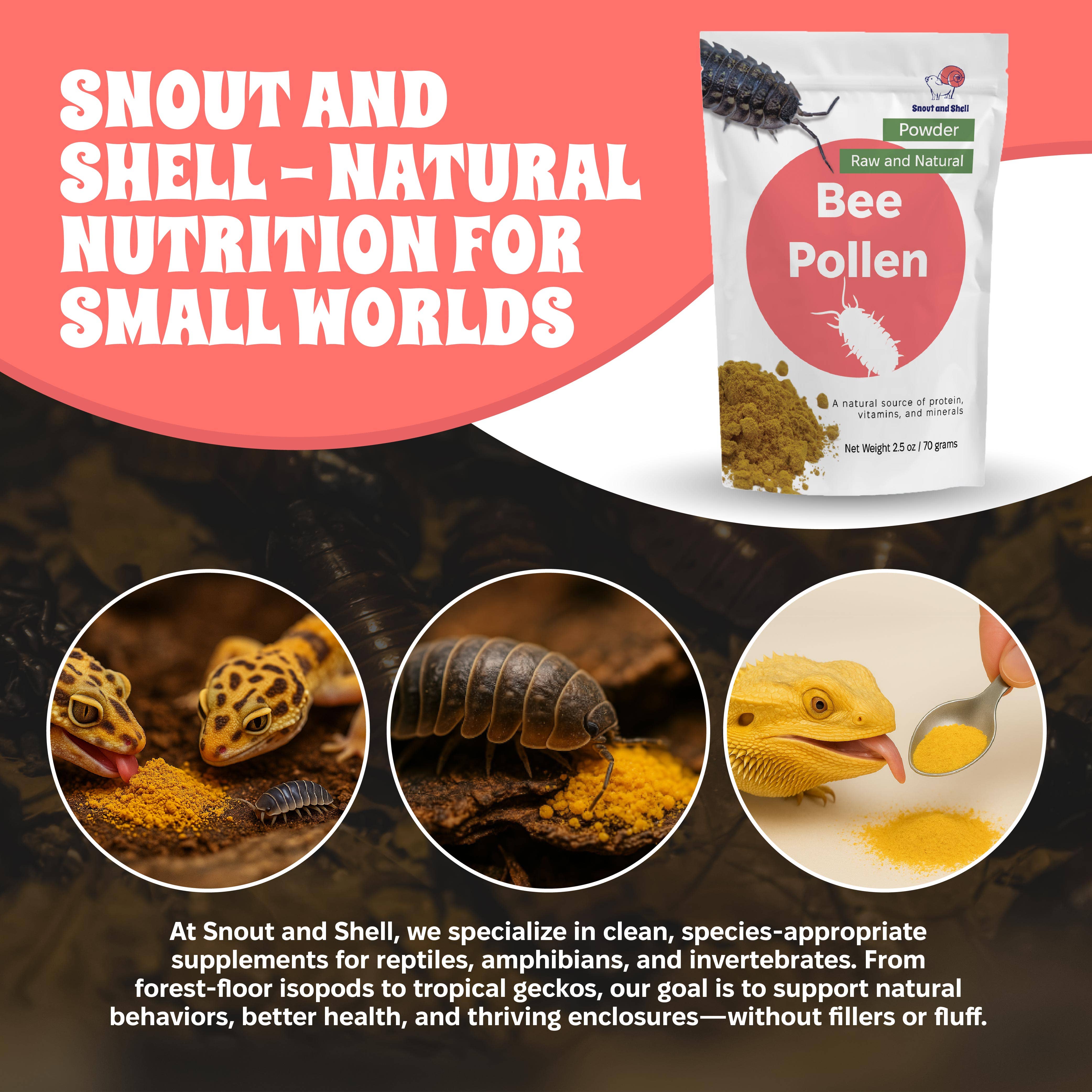 Snout and Shell - Wholesale Pet Supplement - Not Cat/Dog - Bee Pollen Powder for Isopods5