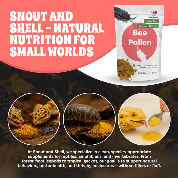 Snout and Shell - Wholesale Pet Supplement - Not Cat/Dog - Bee Pollen Powder for Isopods5