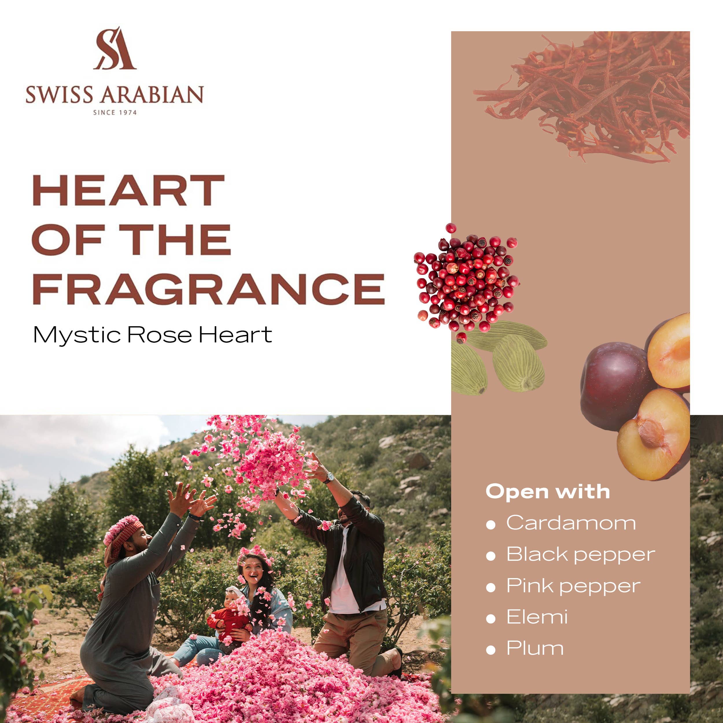 SWISS ARABIAN - Wholesale Perfume/Eau de Toilette - Swiss Arabian Enigma of Taif Extrait de Parfum Unisex 100ml4