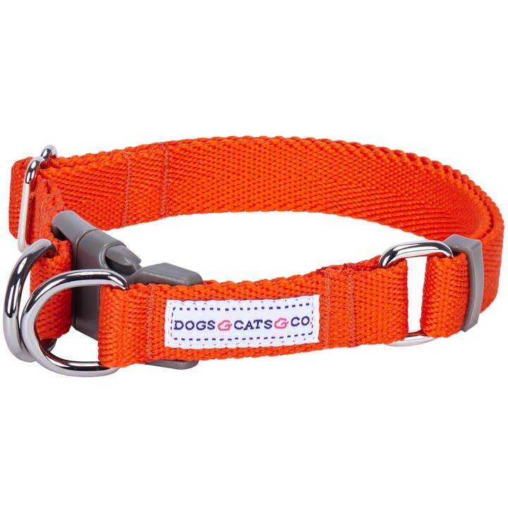 Blueberry Pet - Wholesale Pet collar – Dog - Best-Seller Double D-Ring Dog Collar -Must-Have for All Dogs29