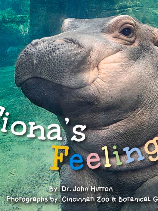 Fiona's Feelings for wholesale by Independent Publishers Group