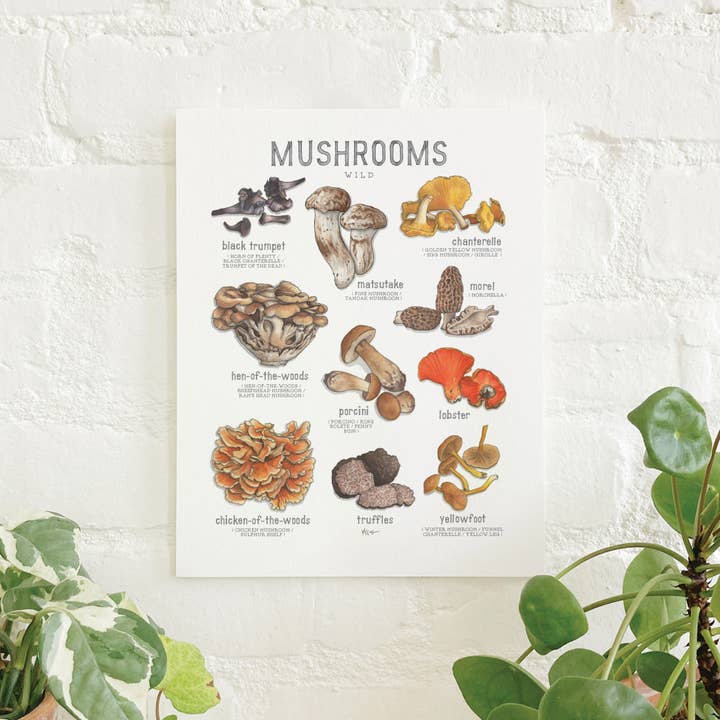 Impressões / Cogumelos (Silvestres & Cultivados) por atacado de Yeesan Loh