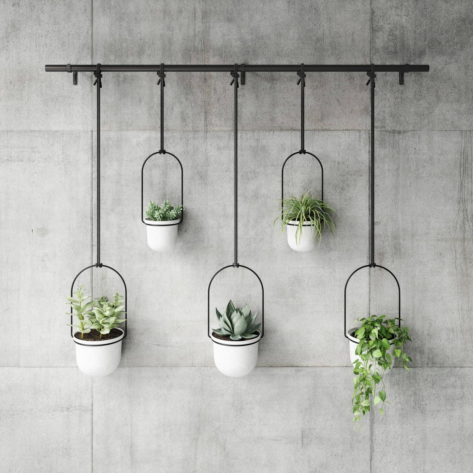 Umbra - Wholesale Hanging Planter - Triflora Hanging Planters, Set of 510