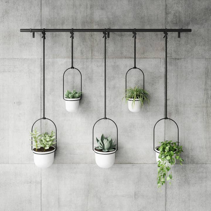 Umbra - Wholesale Hanging Planter - Triflora Hanging Planters, Set of 510