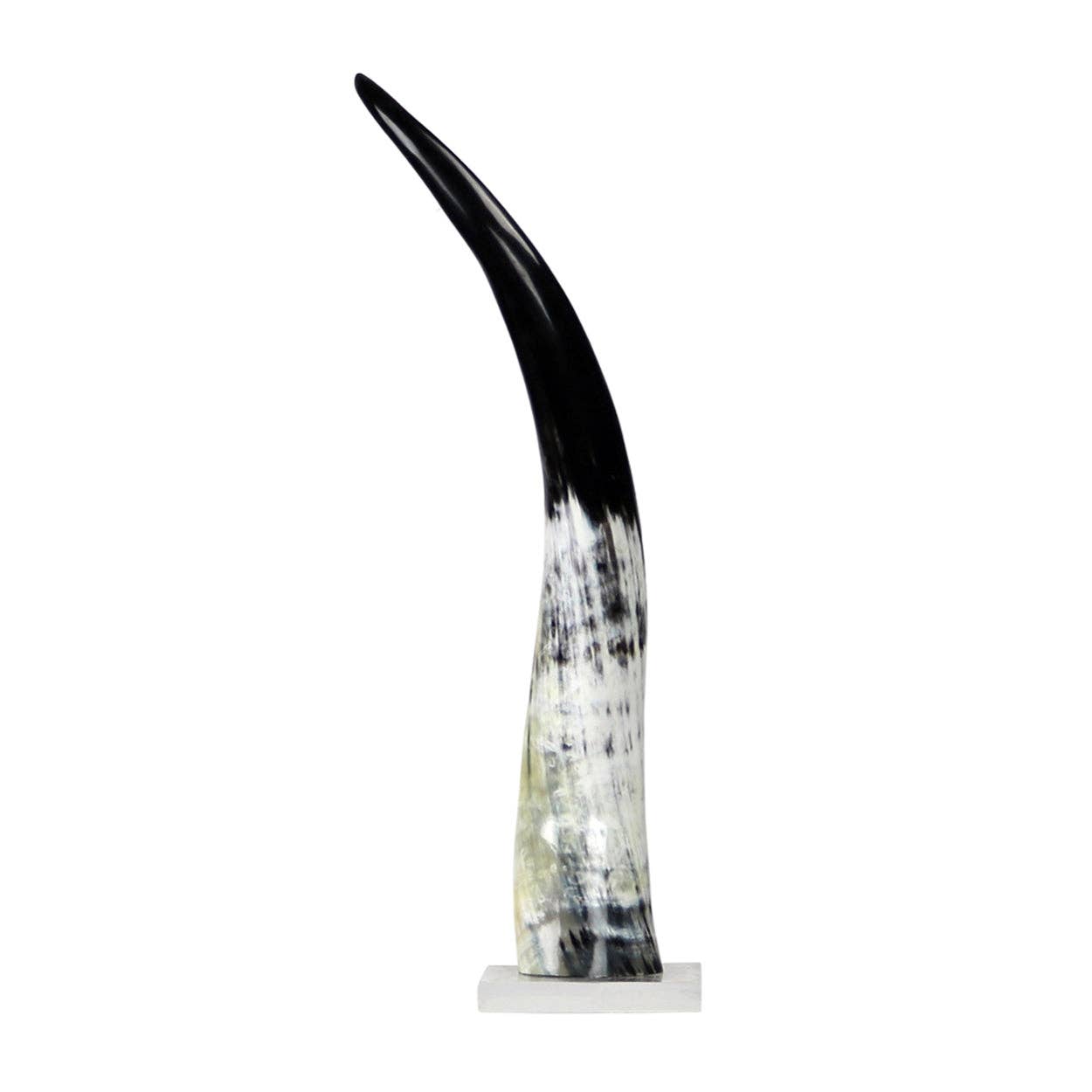 Blue Ocean Traders - Wholesale Decorative Tabletop Object - Black and White Cow Horn on Base2
