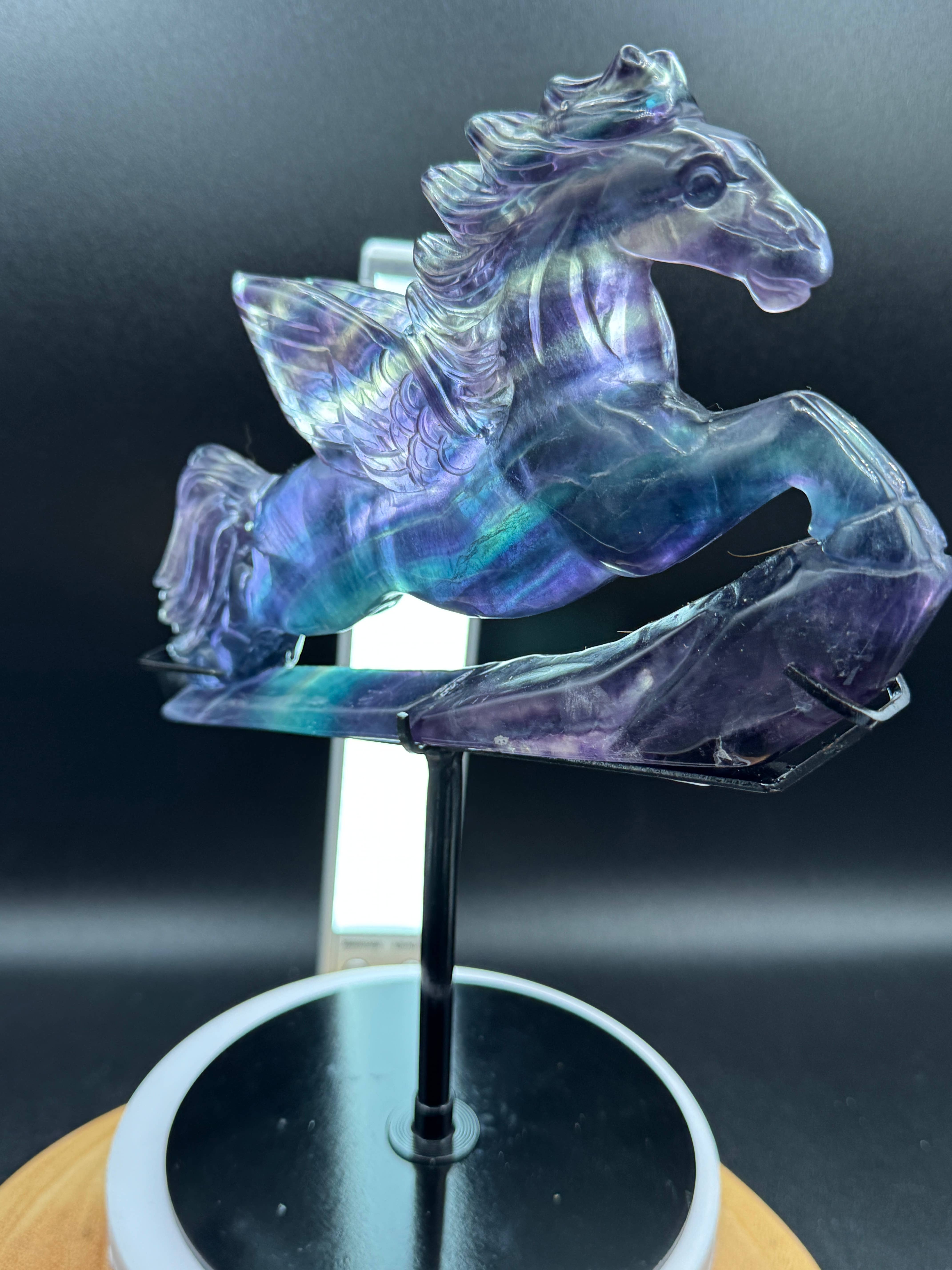 The 7 Directions - Wholesale Spiritual Stone/Crystal - Exquisite Rainbow fluorite Flying horse Pegasus H20814