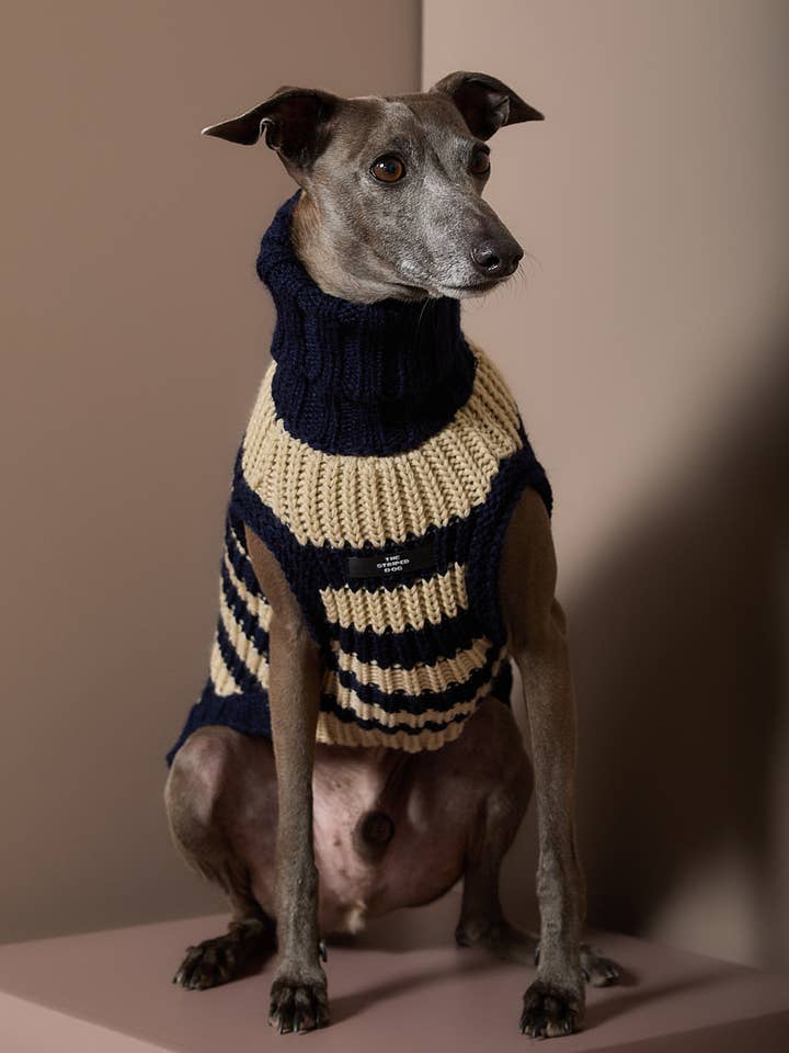 Pull en tricot rayé pour Lévrier Italien / Whippet KYRA pour la vente par The Striped Dog