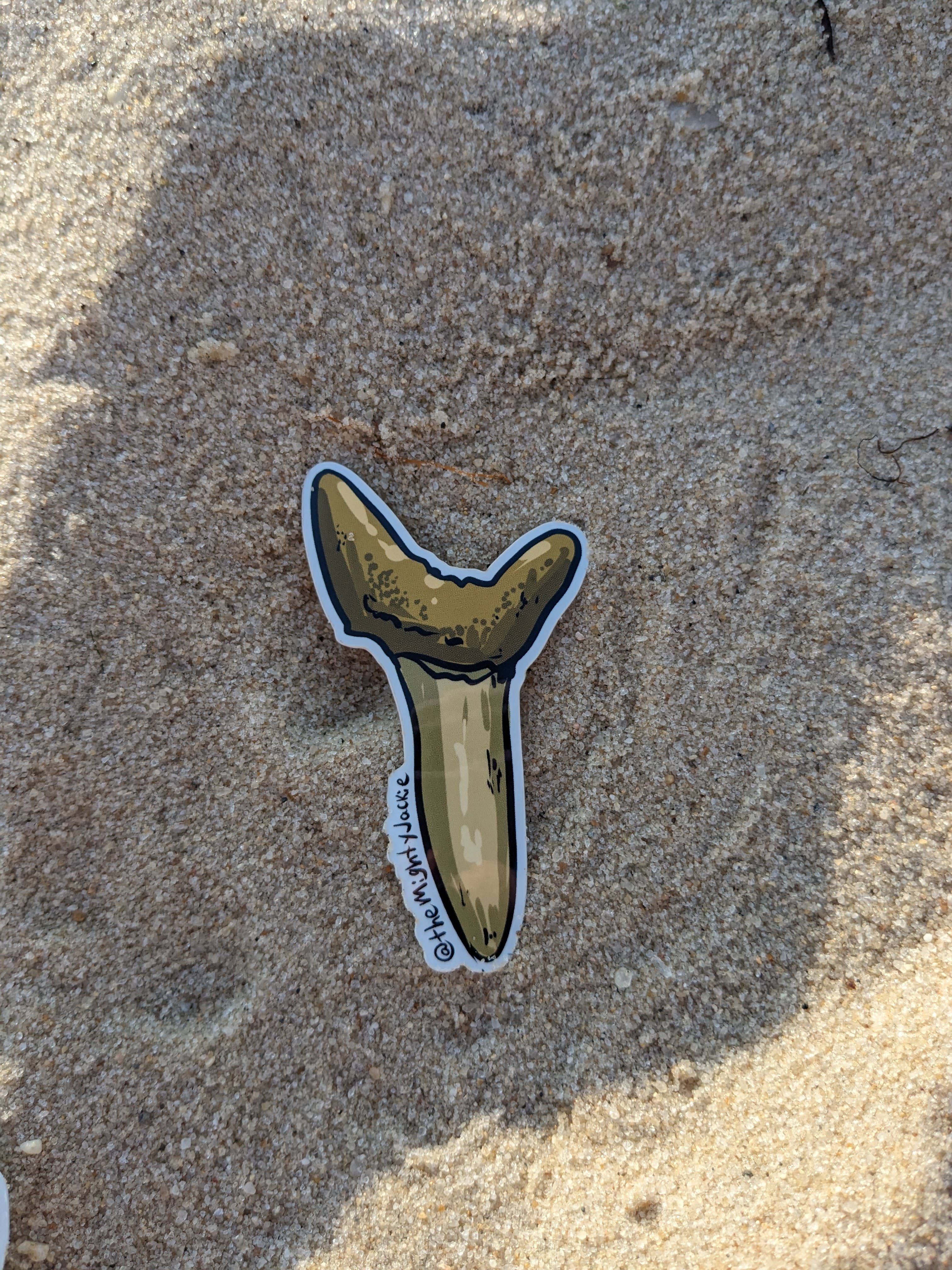 The Mighty Jackie - Wholesale Sticker - Sand Shark Tooth Sticker1