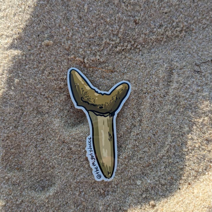 The Mighty Jackie - Wholesale Sticker - Sand Shark Tooth Sticker1