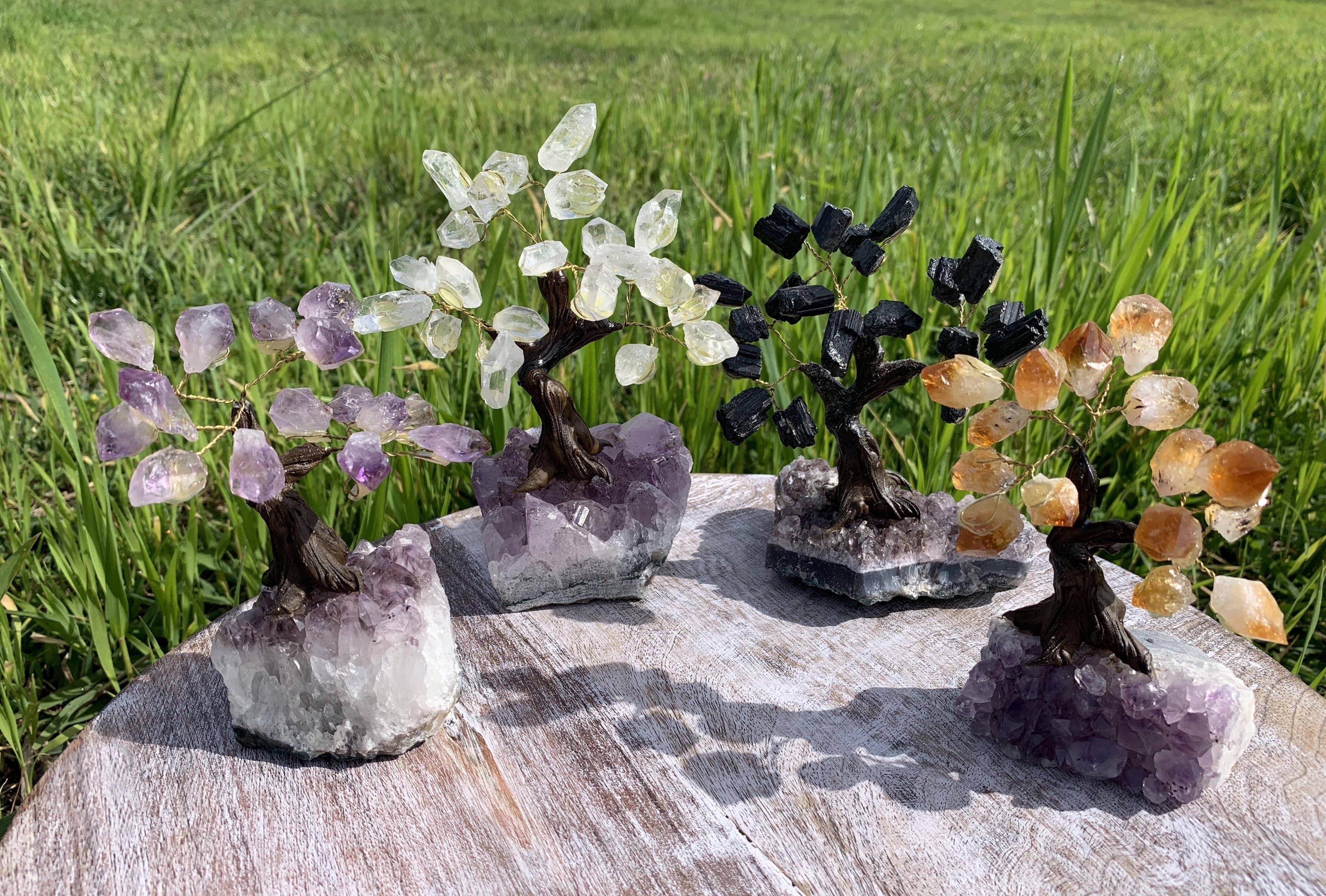 Rock Paradise - Wholesale Spiritual Stone/Crystal - Crystal Tree on Amethyst Base High Quality with points4