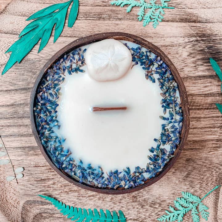 Surfing Road - Wholesale Jar/Filled Candle - Dollar Sand Candle - Bougie coquillage surf