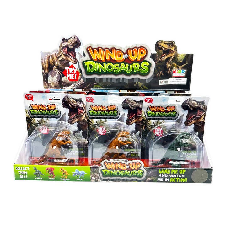 Novelty Brands - Wholesale Wind-Up Toy - Kids - So Much Fun! Wind-Up Dinosaur Toys - 12 Piece Display