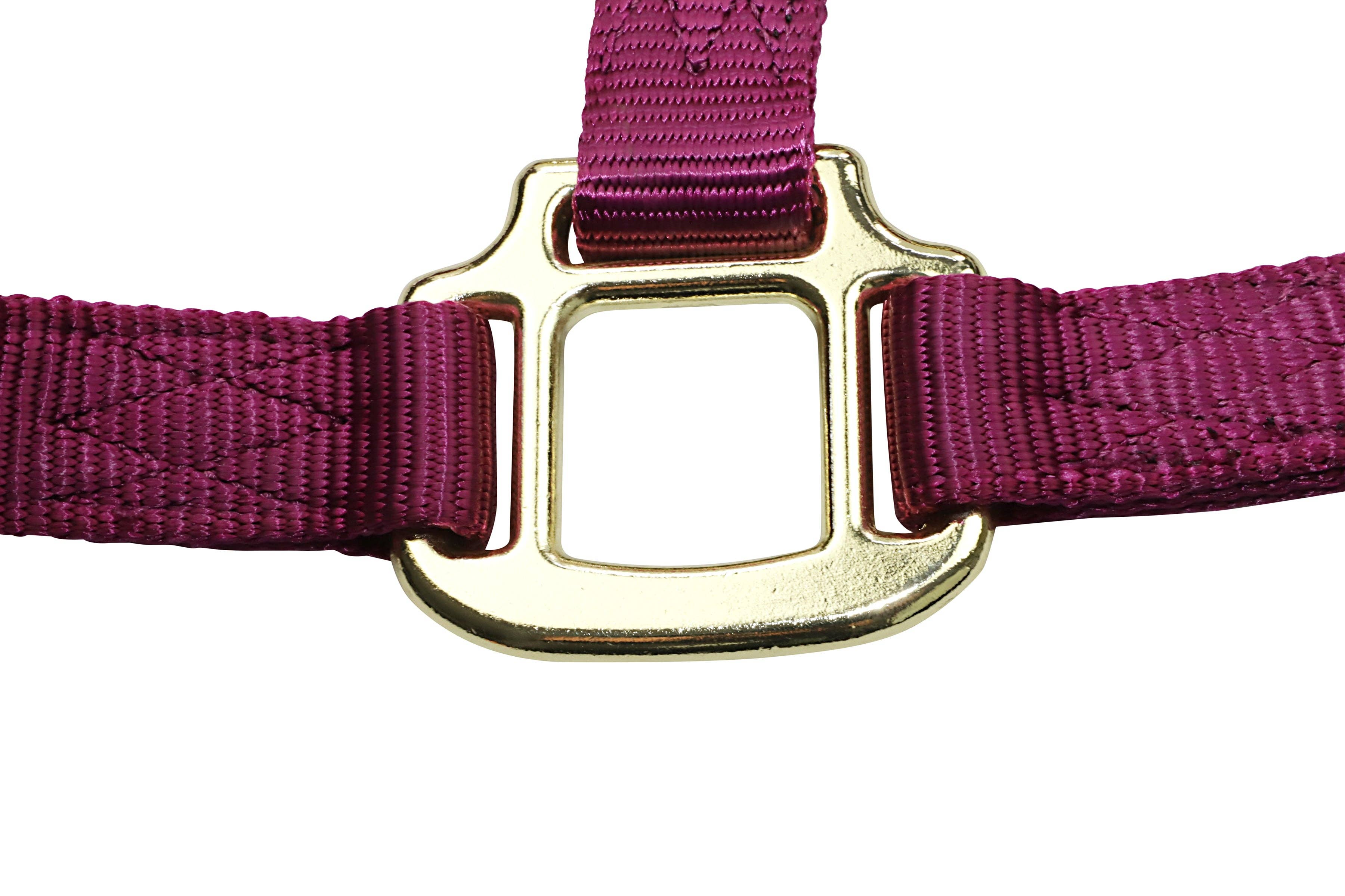 Grewal Equestrian - Wholesale Paardrijuitrusting - Nylon hoofdstellen voor paarden26