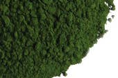 LiveWell - Vendita all'ingrosso Proteine/superfood in polvere - Clorella in polvere, 1 oz0