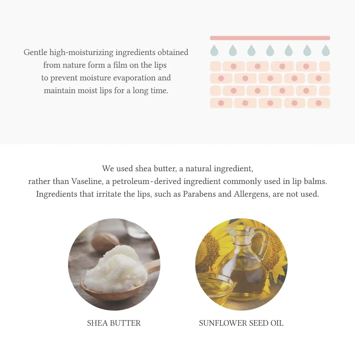 Kosmic - Kbeauty Skincare - Vendita all'ingrosso Burro di cacao - [Dr.Althea] Balsamo labbra fresco morbido e fondente 3,2 g8