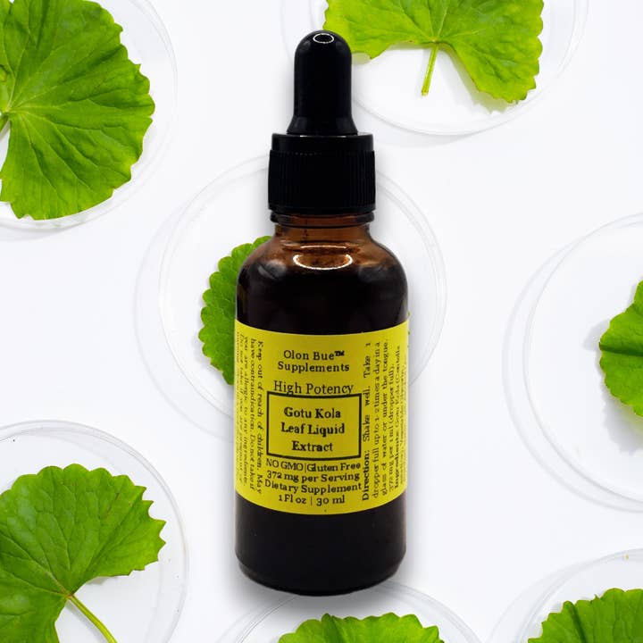 Olon Bue - Wholesale Tincture - Gotu kola (Centella asiatica) Extract Drops 1oz 1