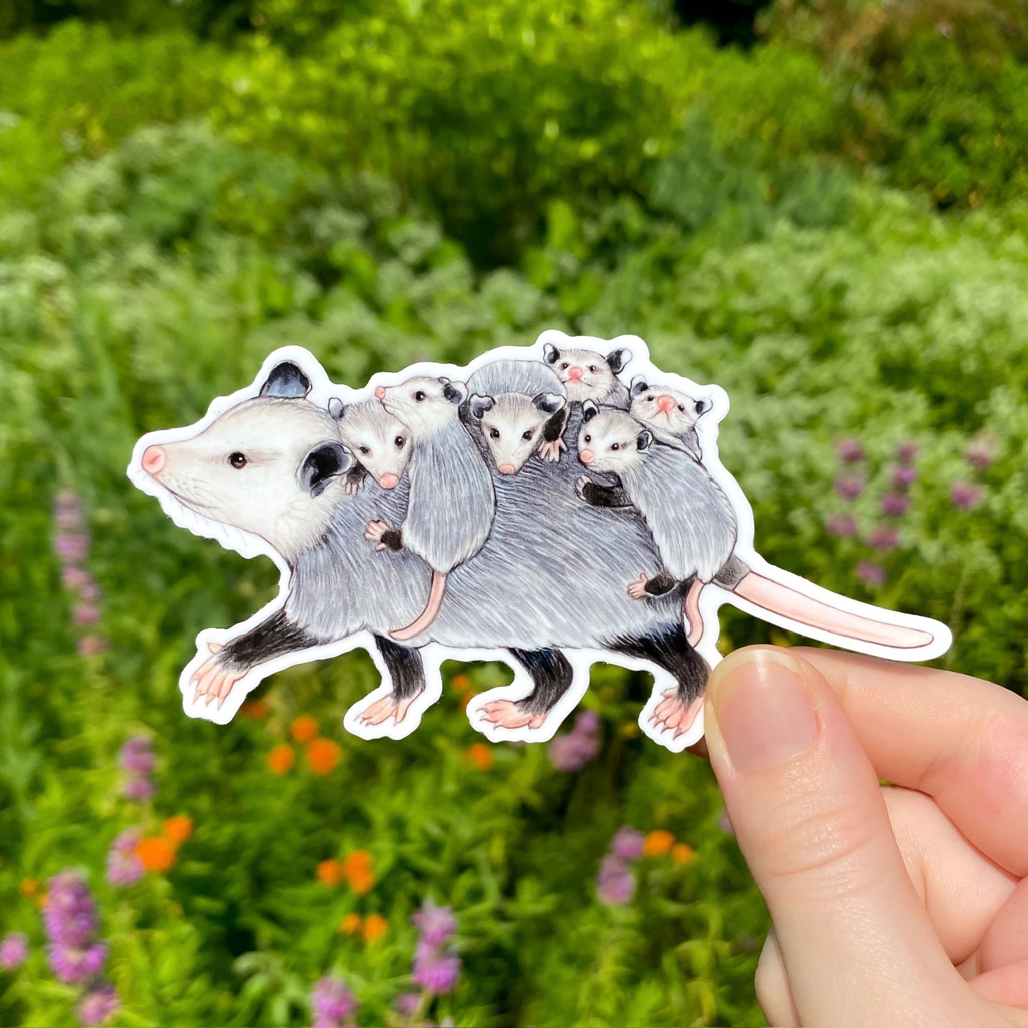 Mom Opossum with Babies Large Weatherproof Vinyl Sticker for wholesale by Allison Stoiser Art