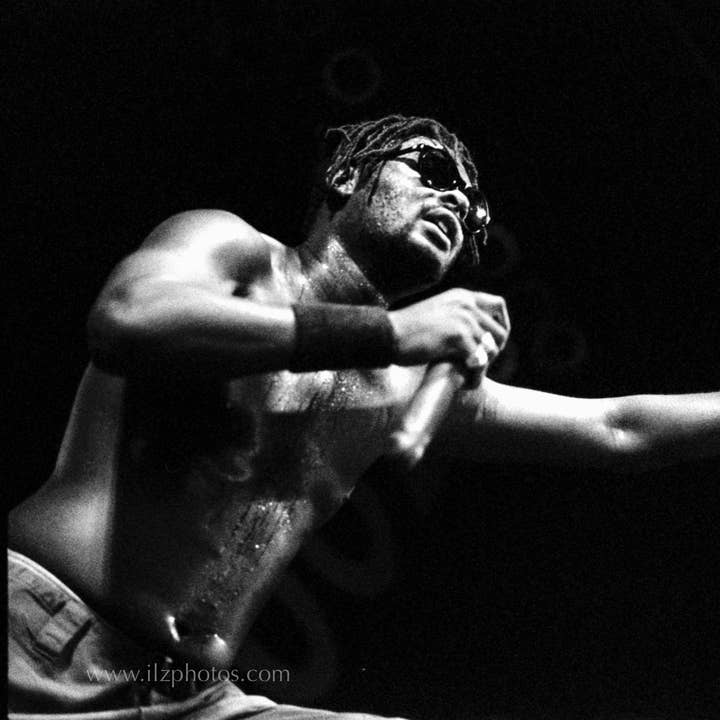 Fishbone Fine Art Metallic Print Fish6 for wholesale by Breaking Rules Photography