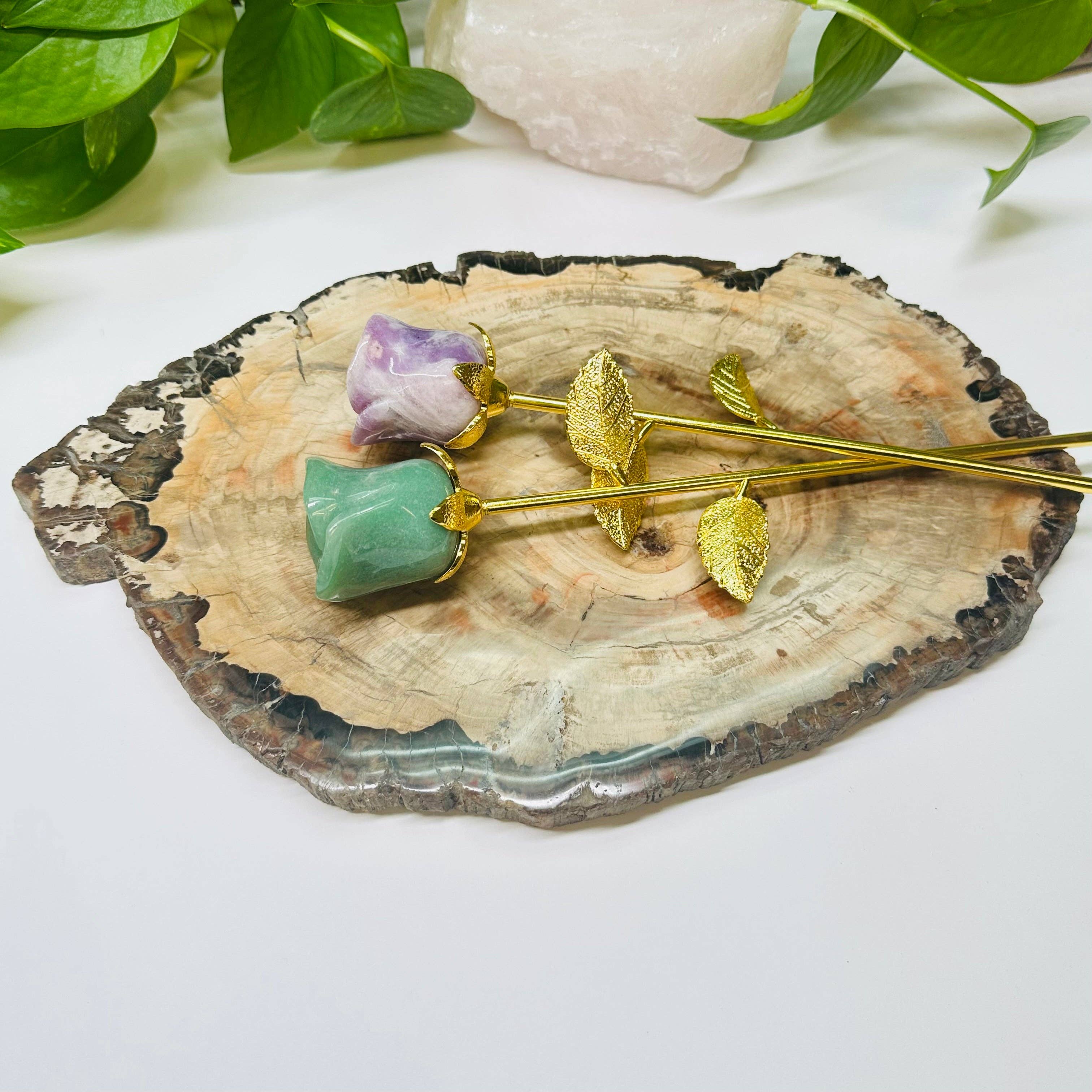 Rock Paradise - Wholesale Spiritual Stone/Crystal - Petrified Wood Slabs12