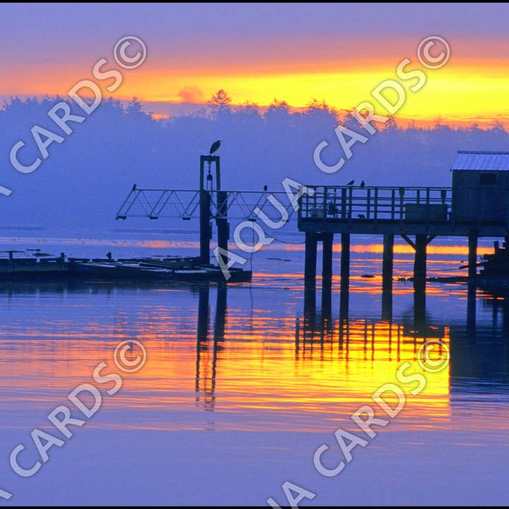 1245 - Il posatoio Lone Dock per la vendita all'ingrosso da parte di Aqua Cards