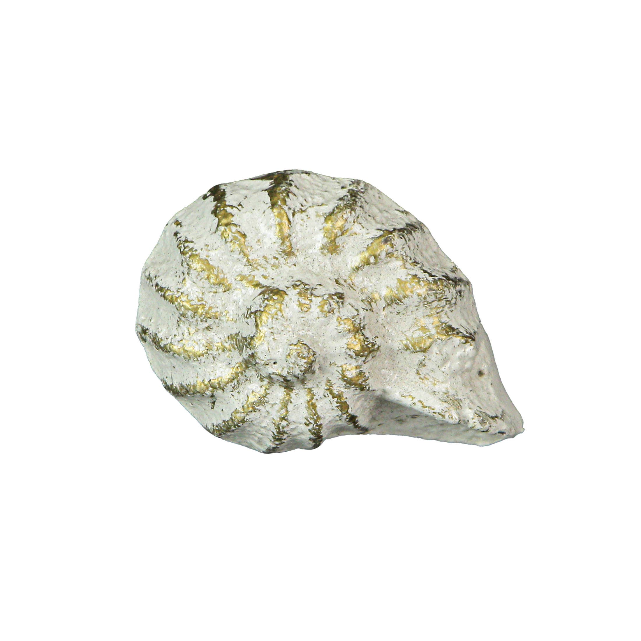 Zeckos - Wholesale Knob/pull - Rustic White Cast Iron Nautilus Shell Drawer Pulls Set of 62