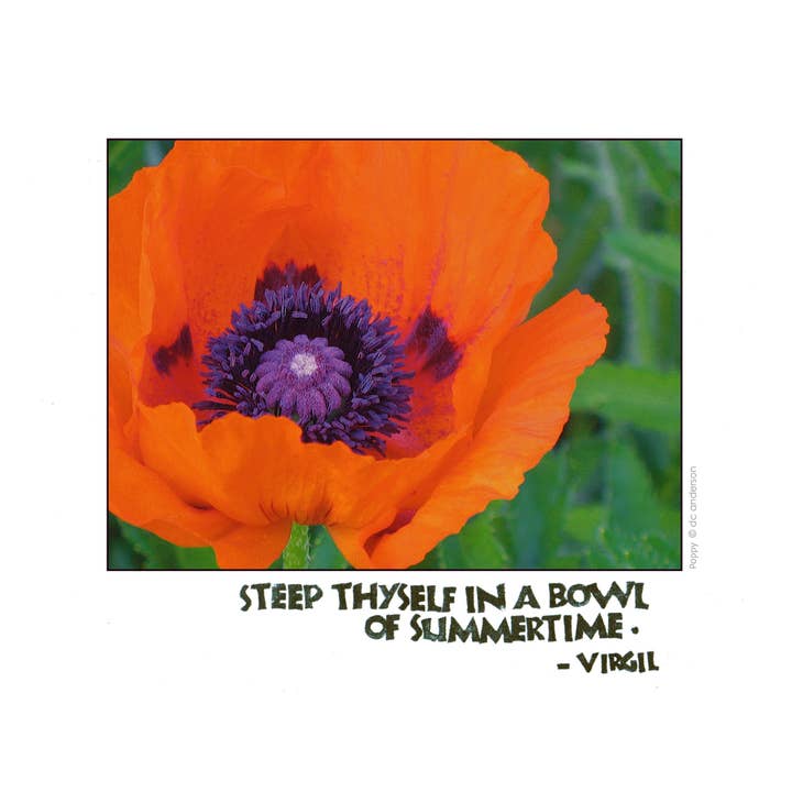 Card S006 Bowl of Summertime -- Virgil for wholesale by ArtLight Media