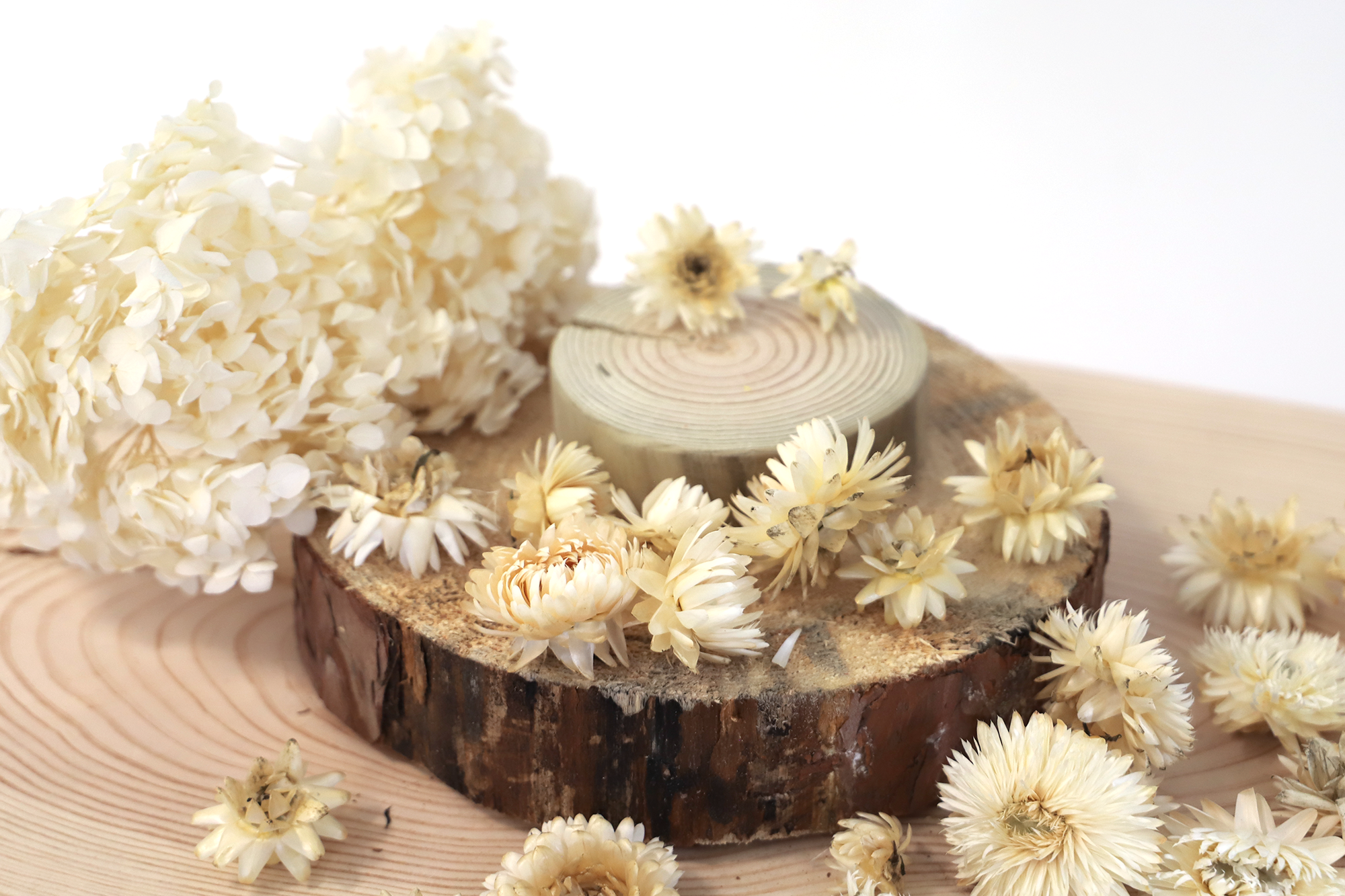 Kunstharz.Art - Vendita all'ingrosso Fiori secchi/pressati - Fiori di paglia essiccati Helichrysum per decorazioni artigianali7