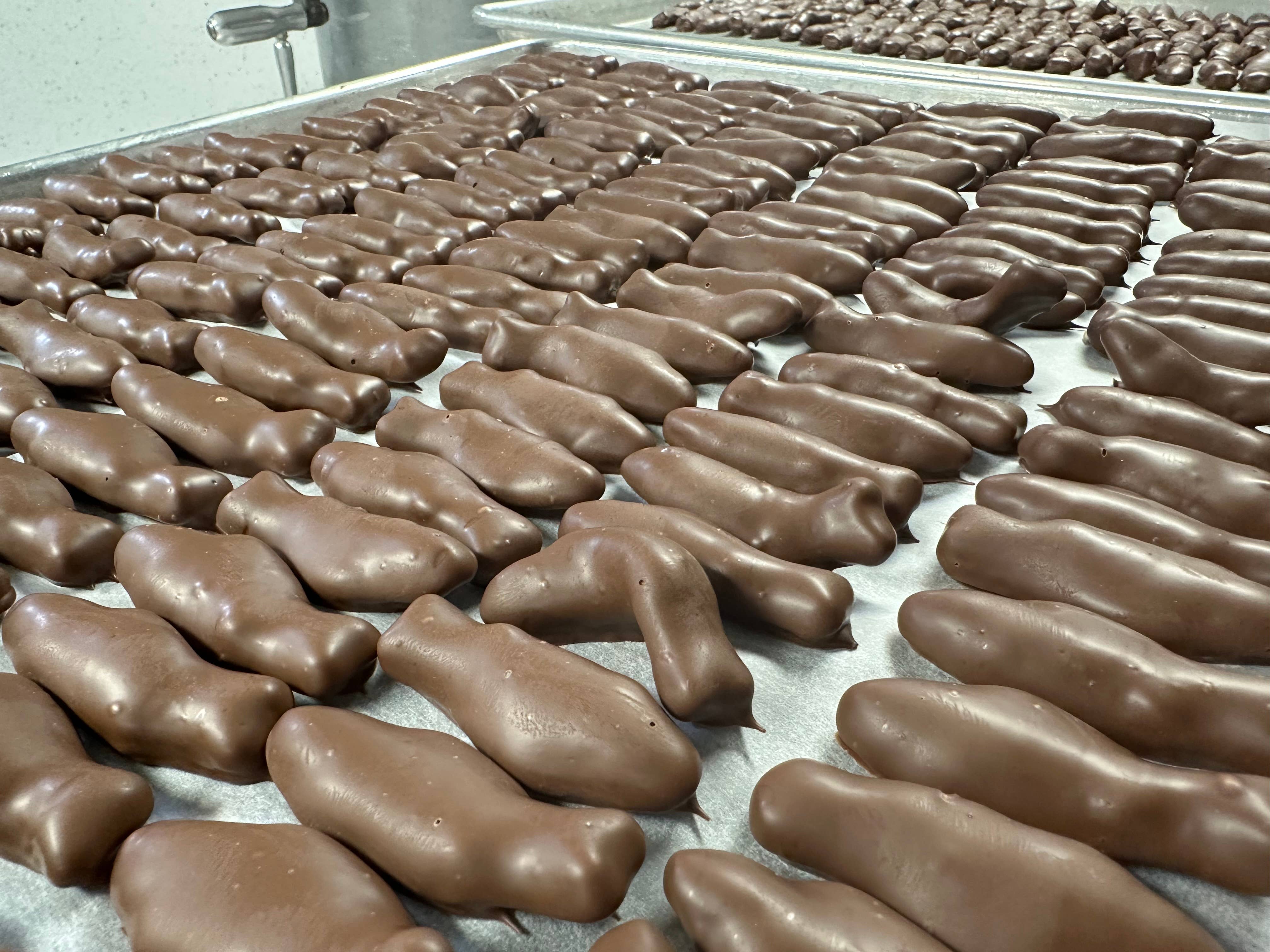 O'Shea's Candies Sweet Shop - Wholesale Chocolate Covered Sweets - Gourmet O'Swedish Fish Milk Chocolate Snack Pack6