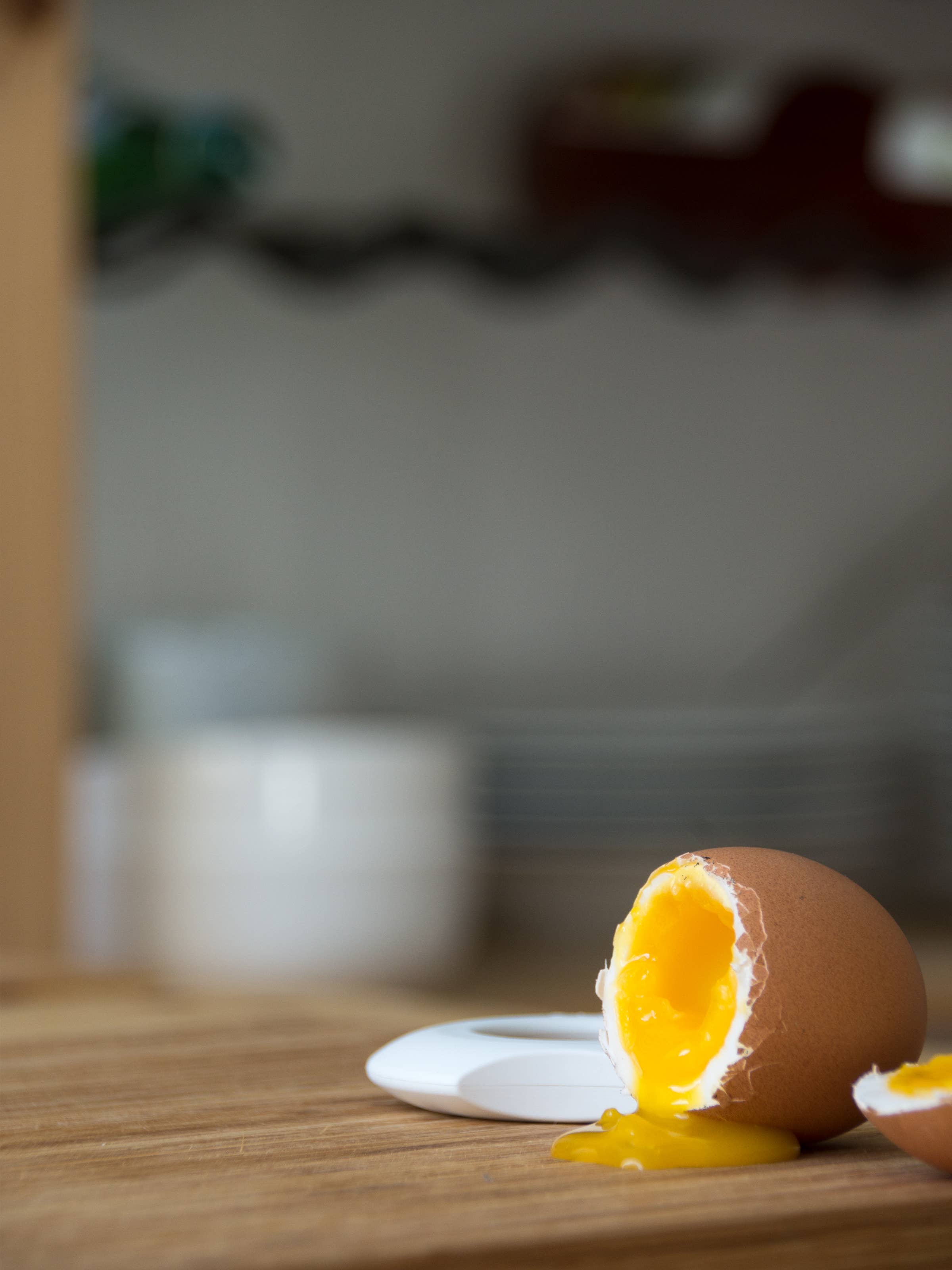 Brainstream - Wholesale Retailer Display - Home & Living - Cregg display/assorted colors/42 pieces/eggtopper2